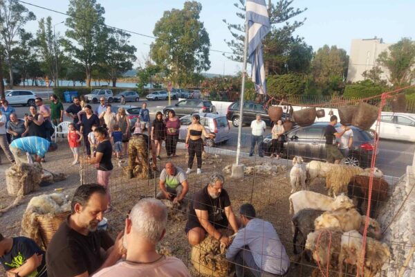 πολιτιστικος σουδας κουρα1 πολιτιστικος σουδας κουρα1