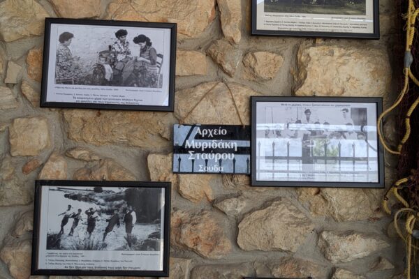 PXL_20250510_111847736 PXL_20250510_111847736