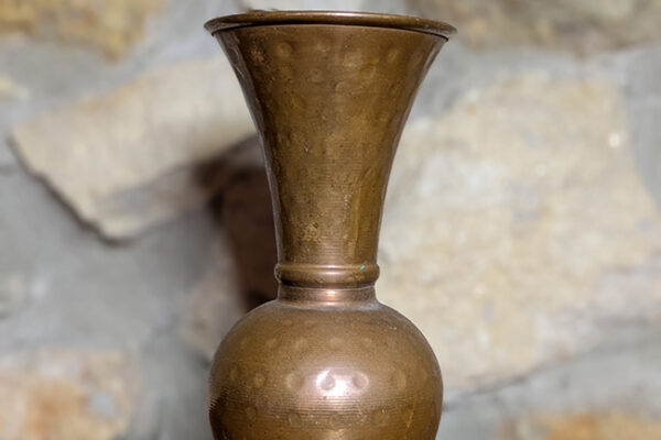 PXL_20250510_171948338.PORTRAIT