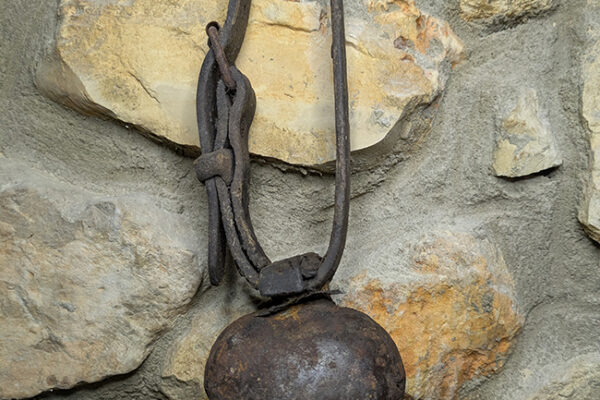 PXL_20250510_175741630