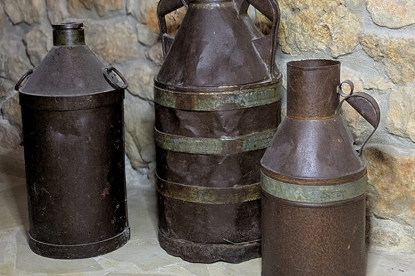 PXL_20250510_180738178.PORTRAIT